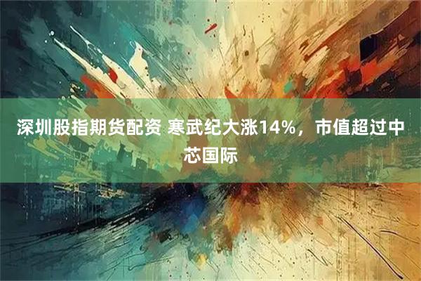 深圳股指期货配资 寒武纪大涨14%，市值超过中芯国际