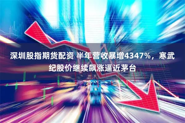 深圳股指期货配资 半年营收暴增4347%，寒武纪股价继续飙涨逼近茅台
